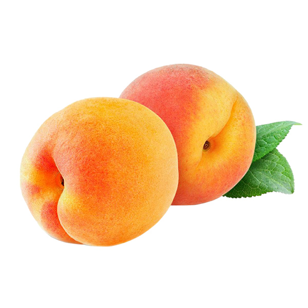 Apricot