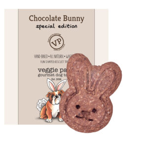 Large Chocolate Bunny