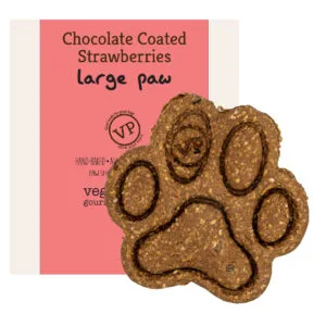 Large Paw Choc Strawberry (limited edition)